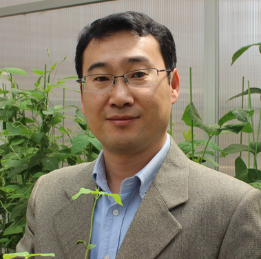 Photo of Maia Chankseliani, PhD